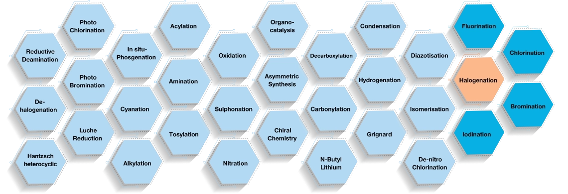 Diagram showing a broad range of chemical transformations, including halogenation and fluorination, oxidation and reduction, acylation and alkylation, amination, cyanation, nitration, sulphonation, carbonylation, hydrogenation, organocatalysis, asymmetric synthesis, chiral chemistry, Grignard reactions, and related advanced synthetic processes